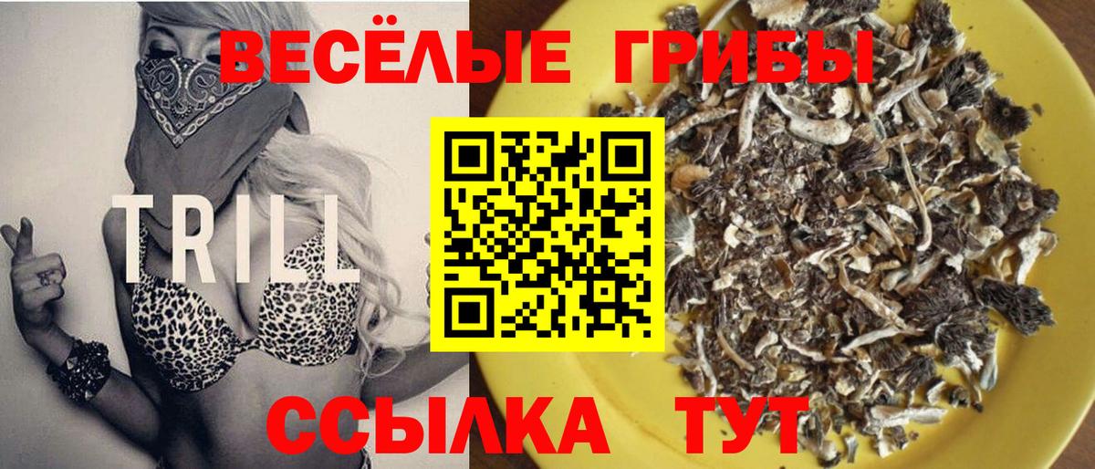 Борисоглебск  Галлюциногенные грибы ЛСД  Псилоцибиновые грибы Psilocybine cubensis  Вход с VPN 